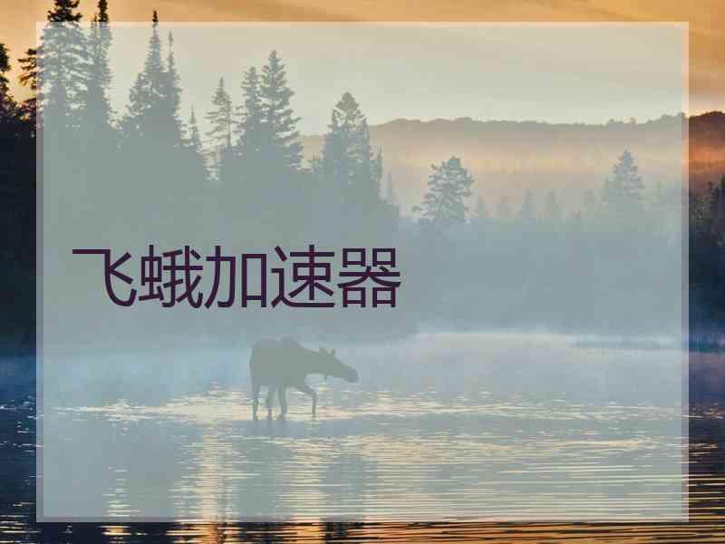 飞蛾加速器 飞蛾加速器